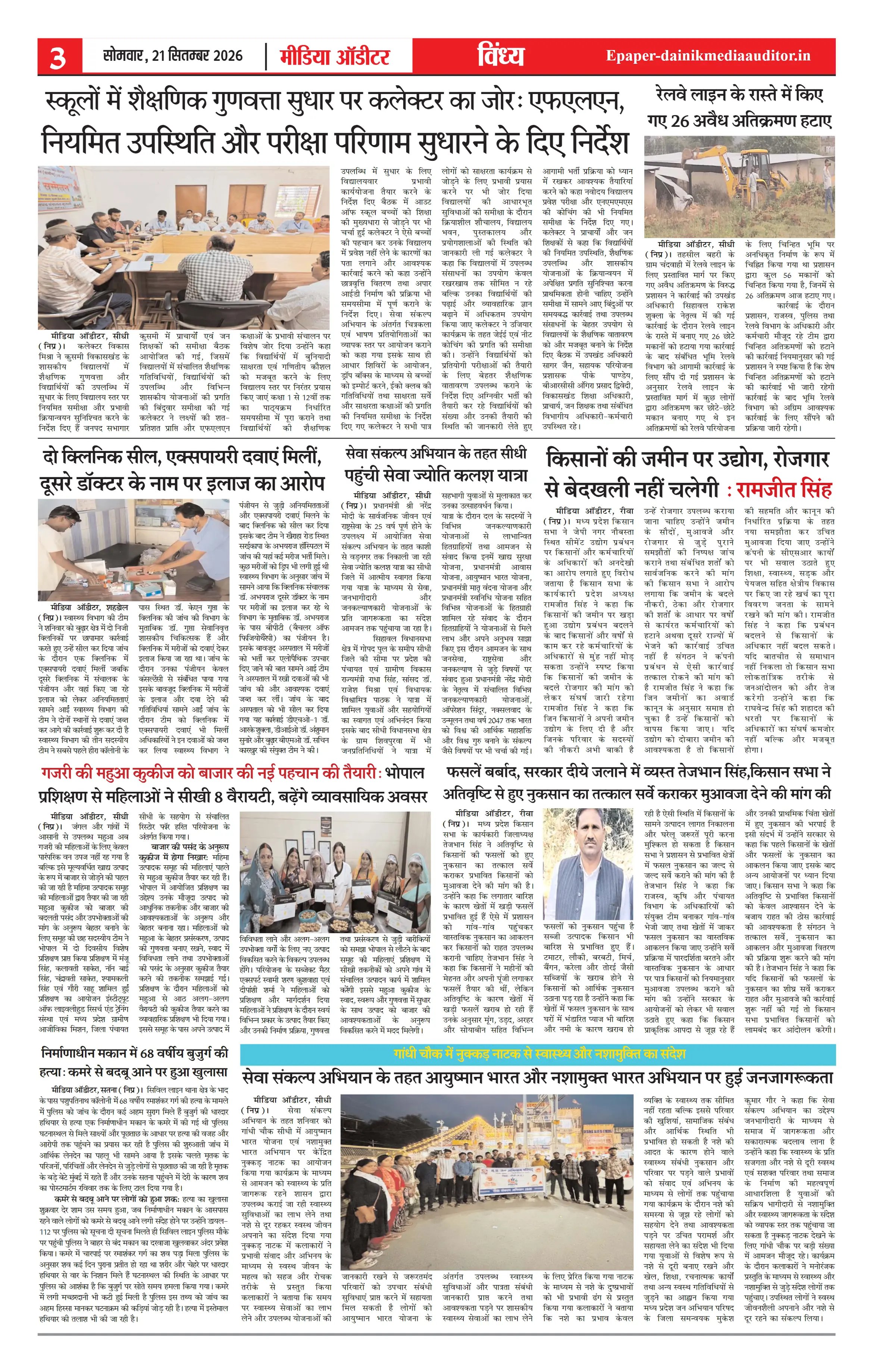 Page 3