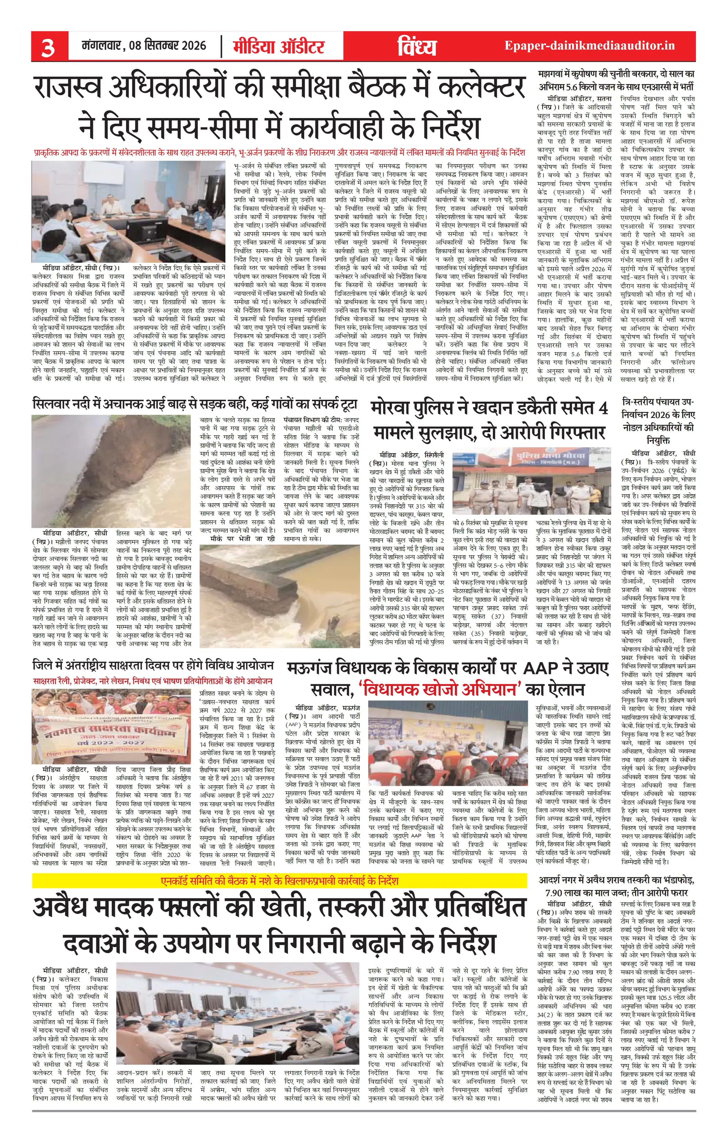 Page 3