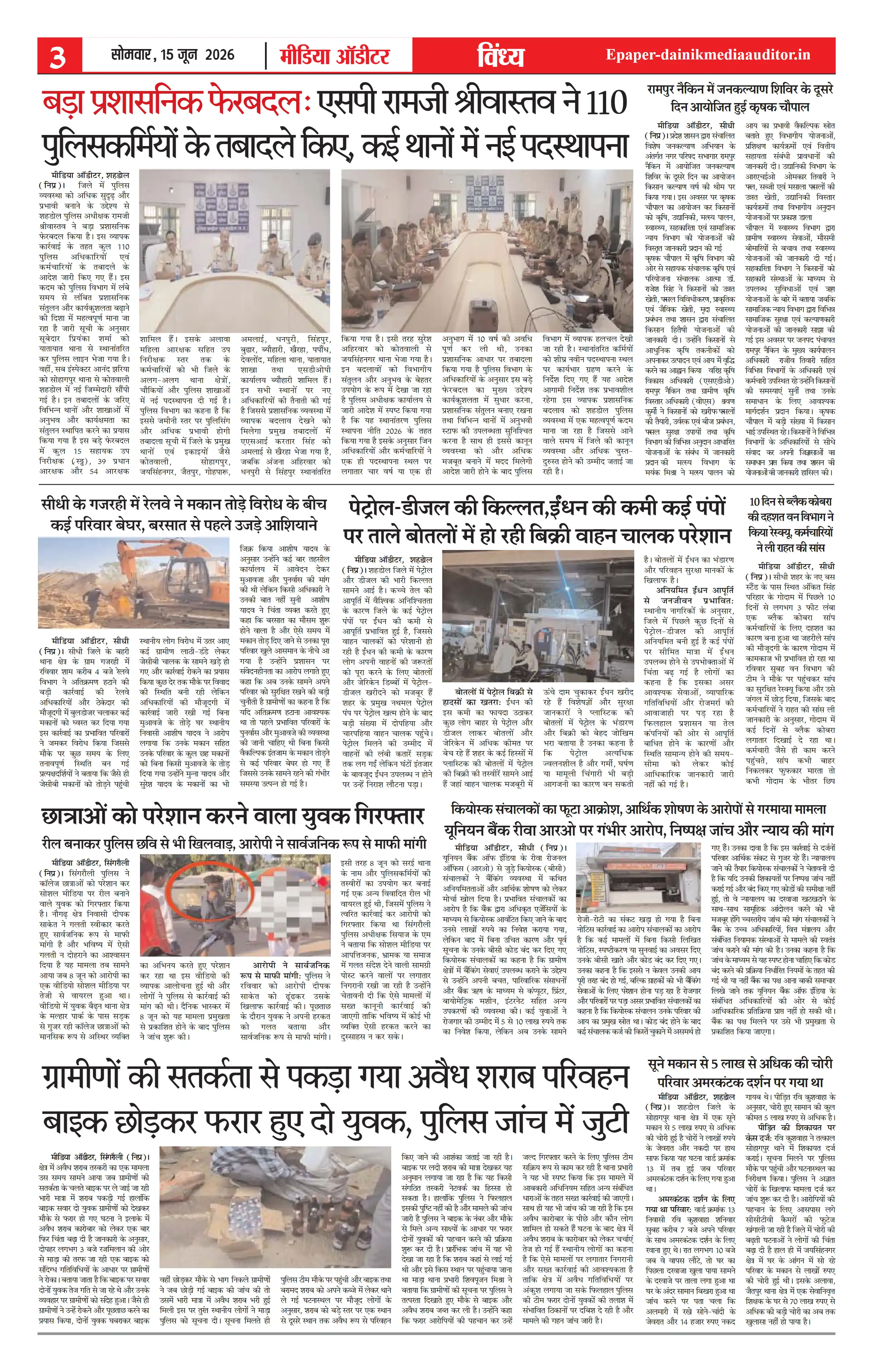 Page 3